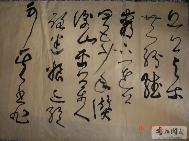 DSC06018.JPG