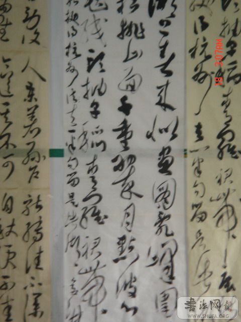 DSC05991.JPG