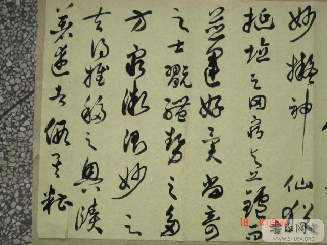 DSC06012.JPG