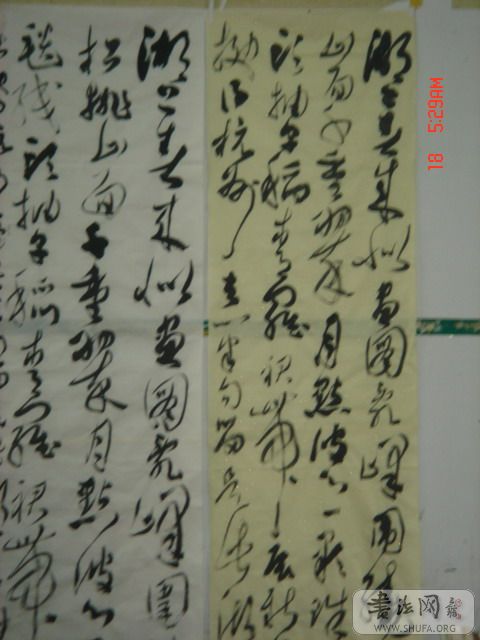DSC06037.JPG
