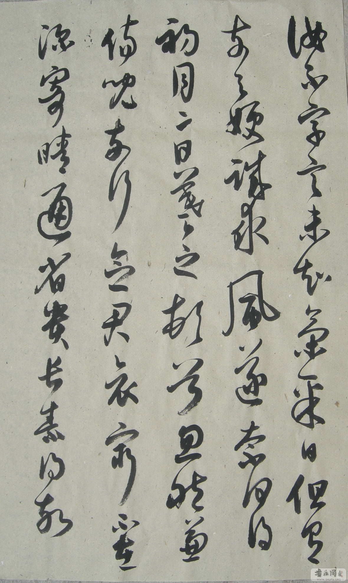 CIMG1096.JPG