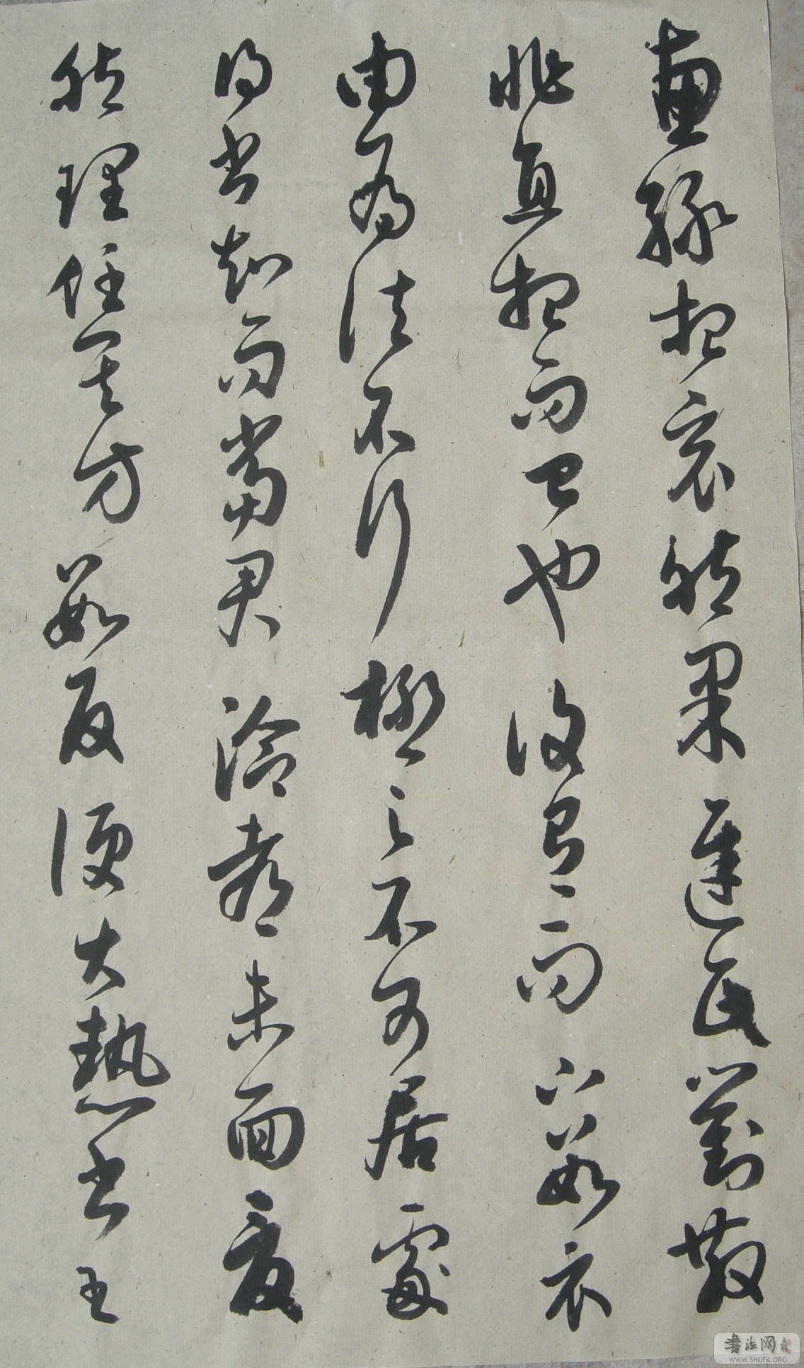 CIMG1094.JPG
