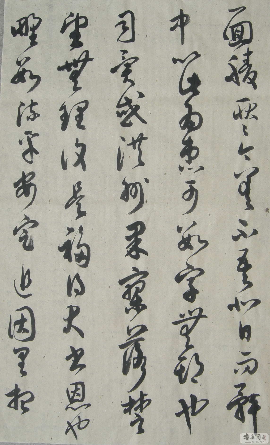 CIMG1095.JPG