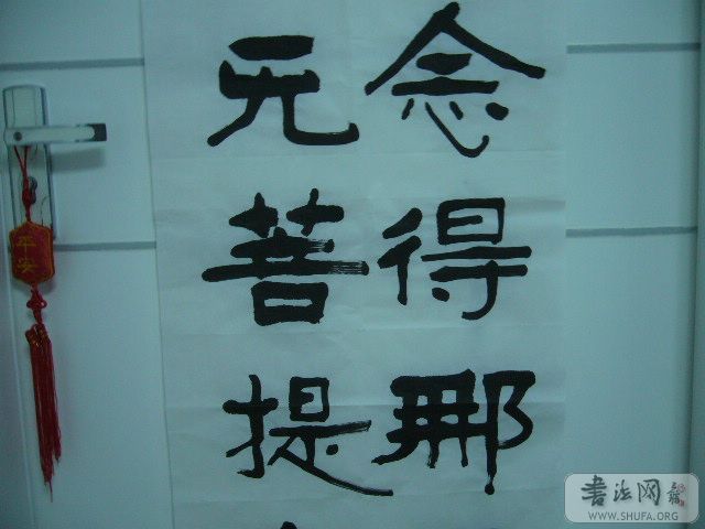 P1000287.JPG