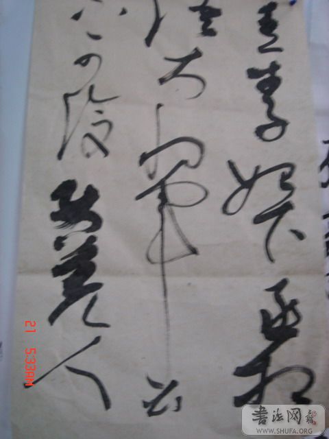 DSC06491.JPG