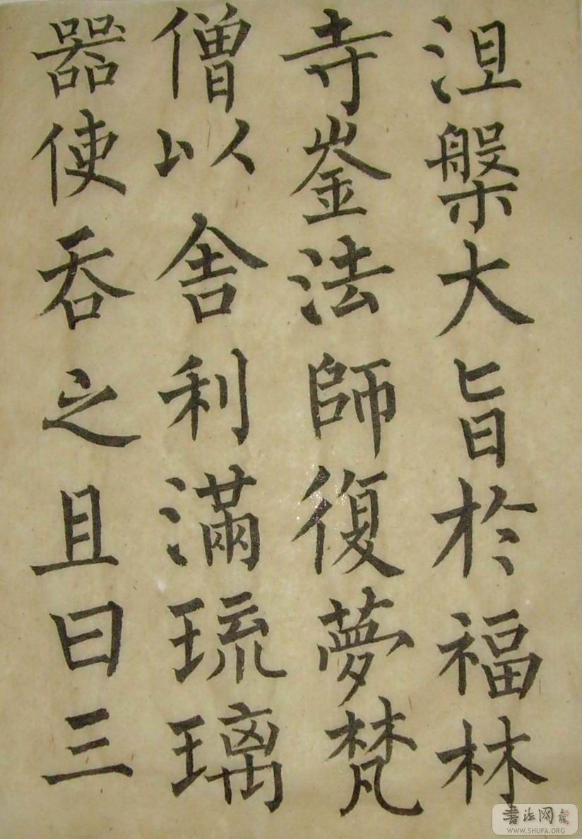 SNV30037.jpg