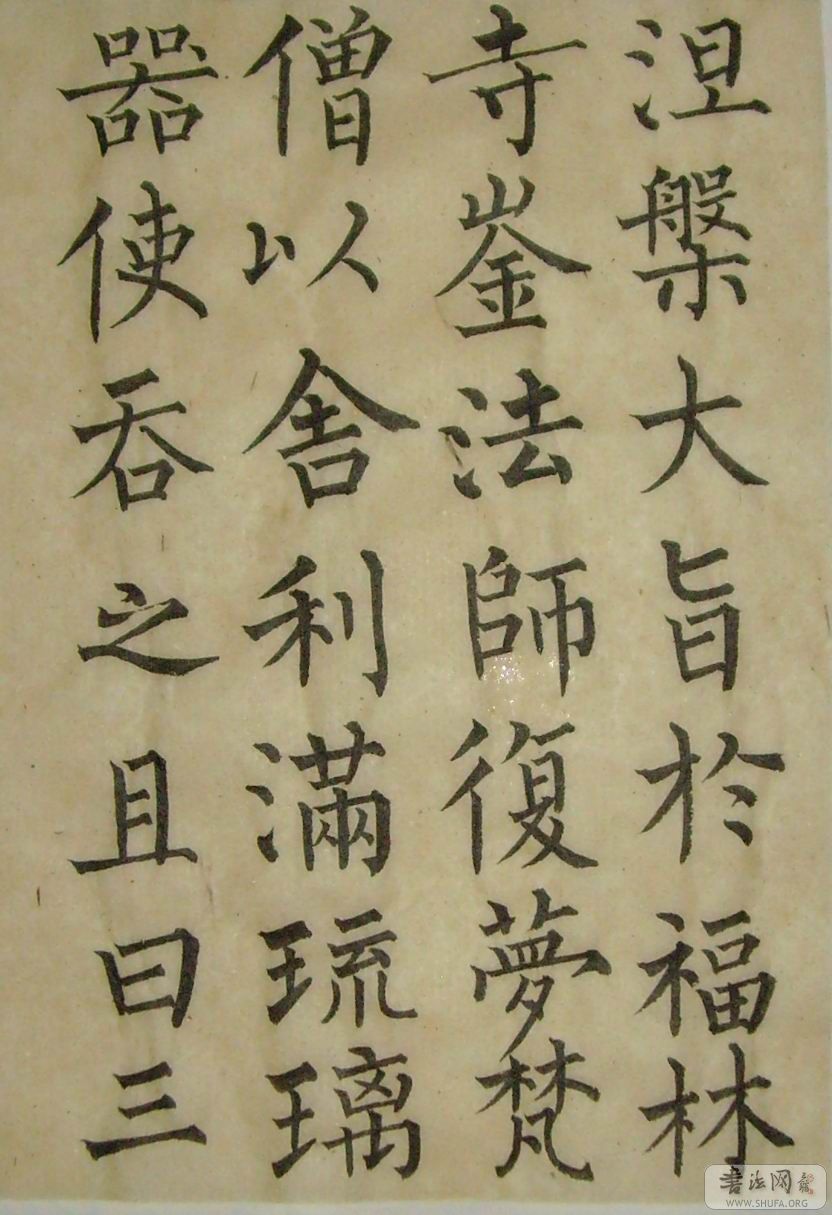 SNV30036.jpg