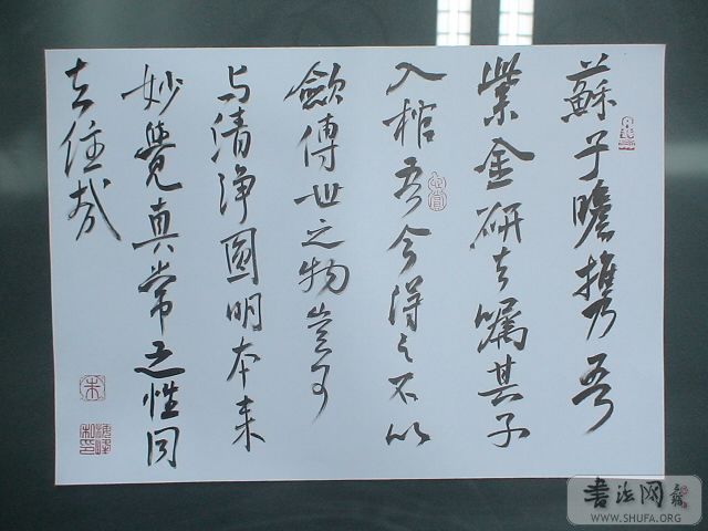 DSC02053.JPG