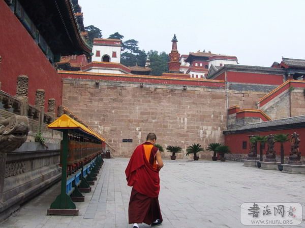 DSCF8972.jpg