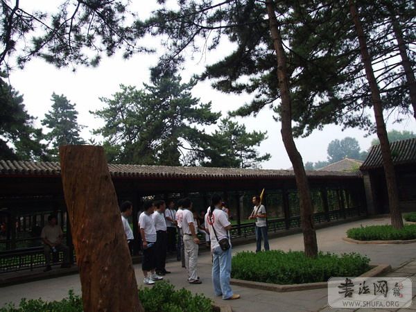 DSCF8853.jpg