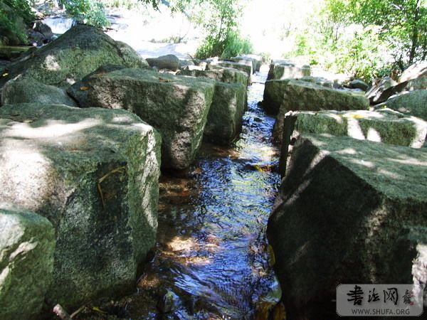 DSCF9368.jpg