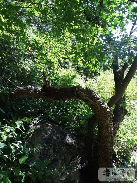 DSCF9354.jpg