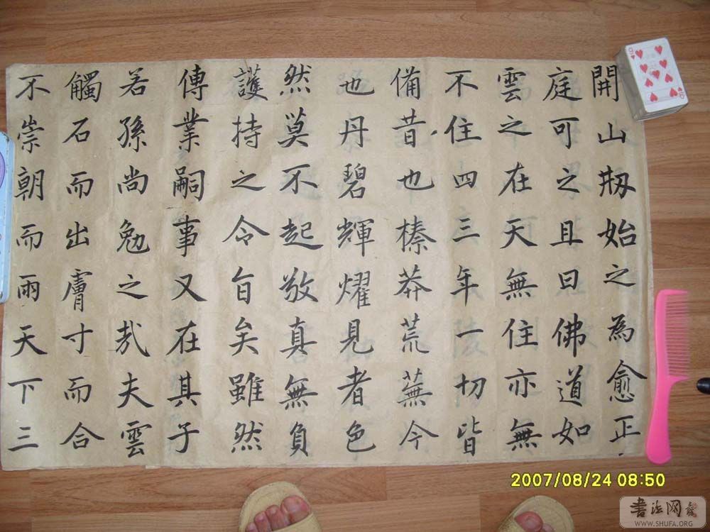 S1050194.JPG