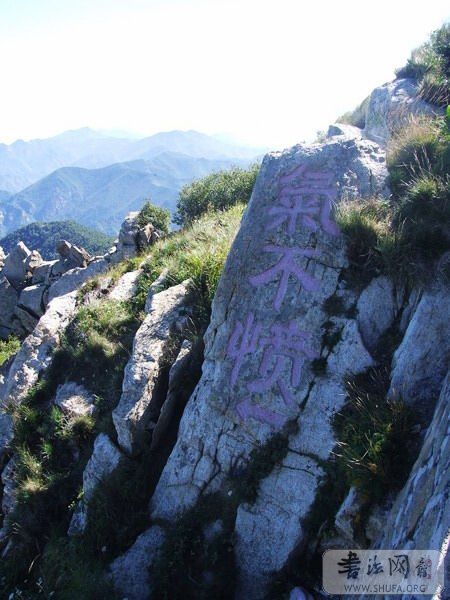 DSCF9194.jpg