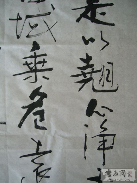 P1000305.JPG