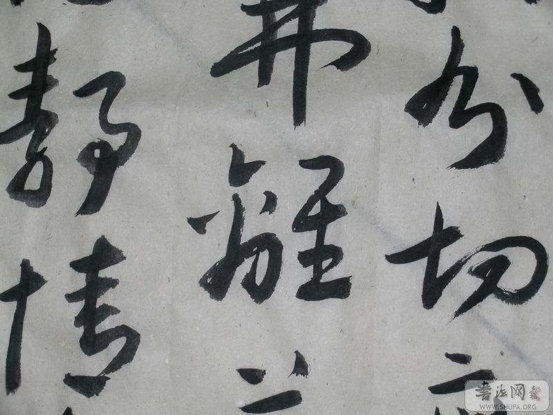 鷨0015.JPG
