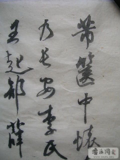 DSCN7595.jpg