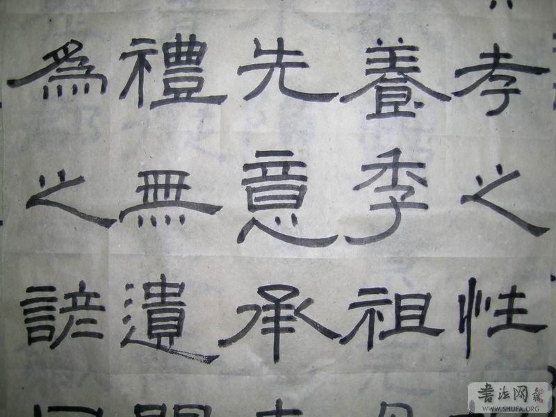 鷨0010.JPG