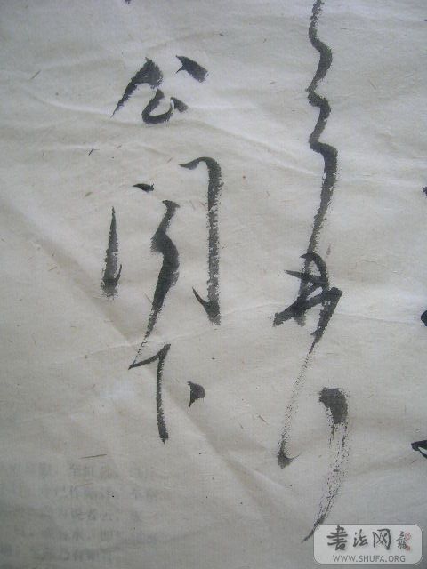 DSCN7604.jpg