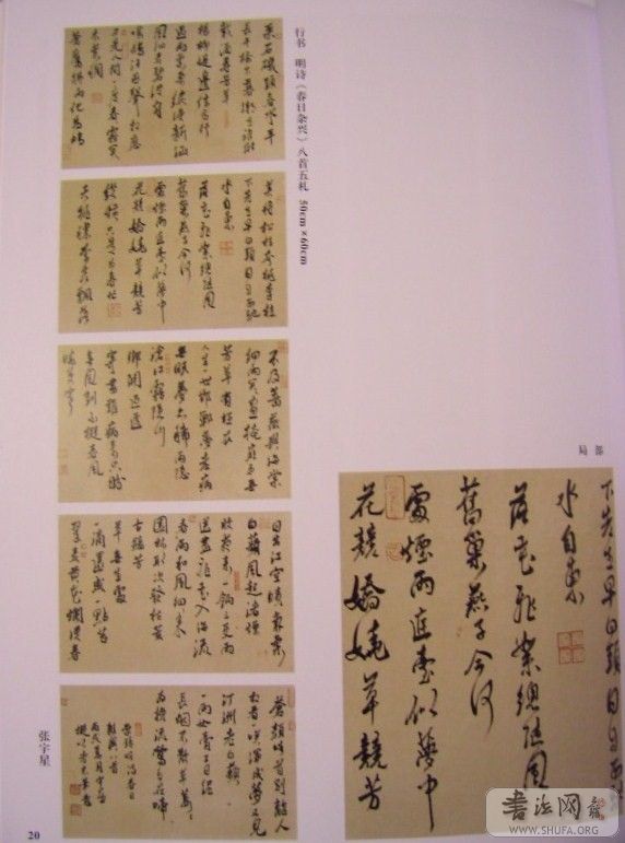 CIMG2995.JPG