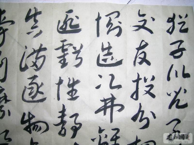 鷨0014.JPG