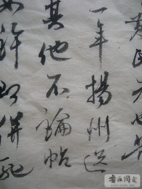 DSCN7600.jpg