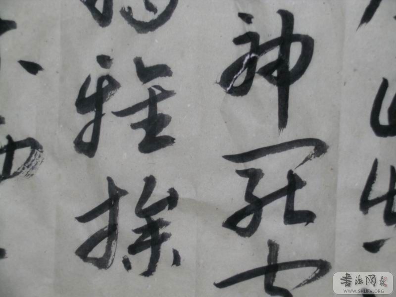 鷨0016.JPG