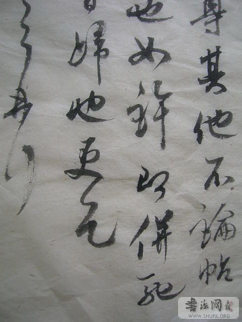DSCN7602.jpg