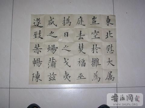 DSCN2300.JPG