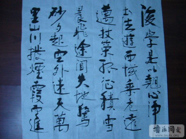 P1000314.JPG