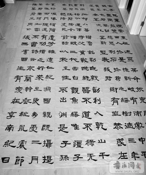 P8270010ok.jpg