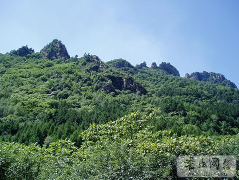 P1010182.JPG