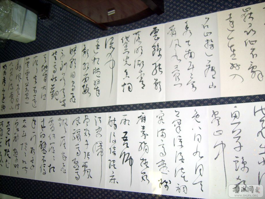 S8001813.JPG