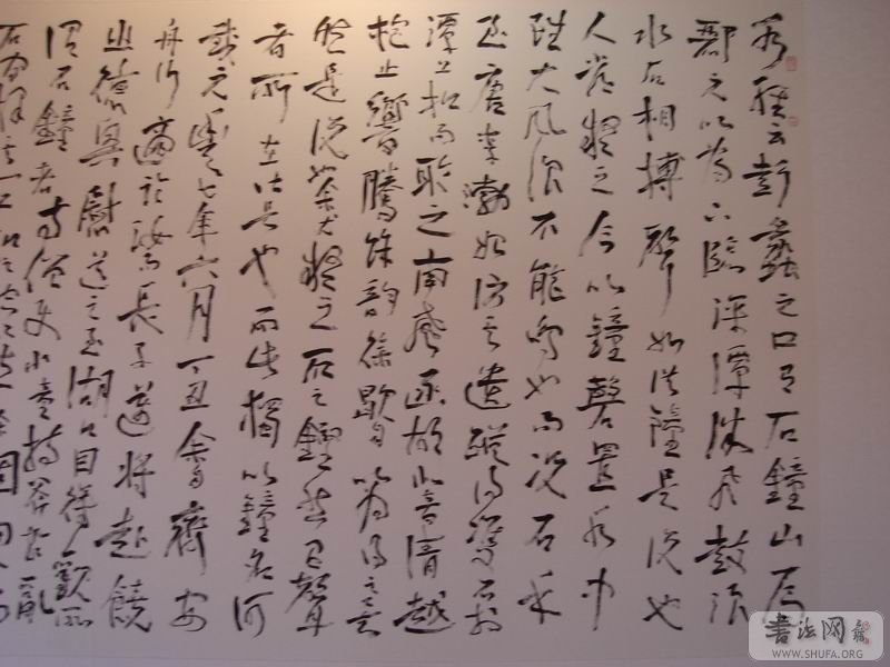DSC04237.JPG