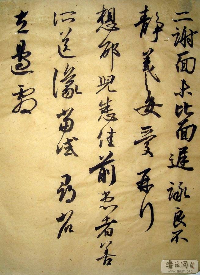 DSCN1524.jpg
