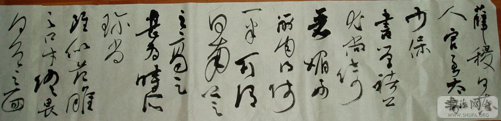 P1010013.JPG