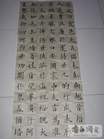 DSCN2395.JPG