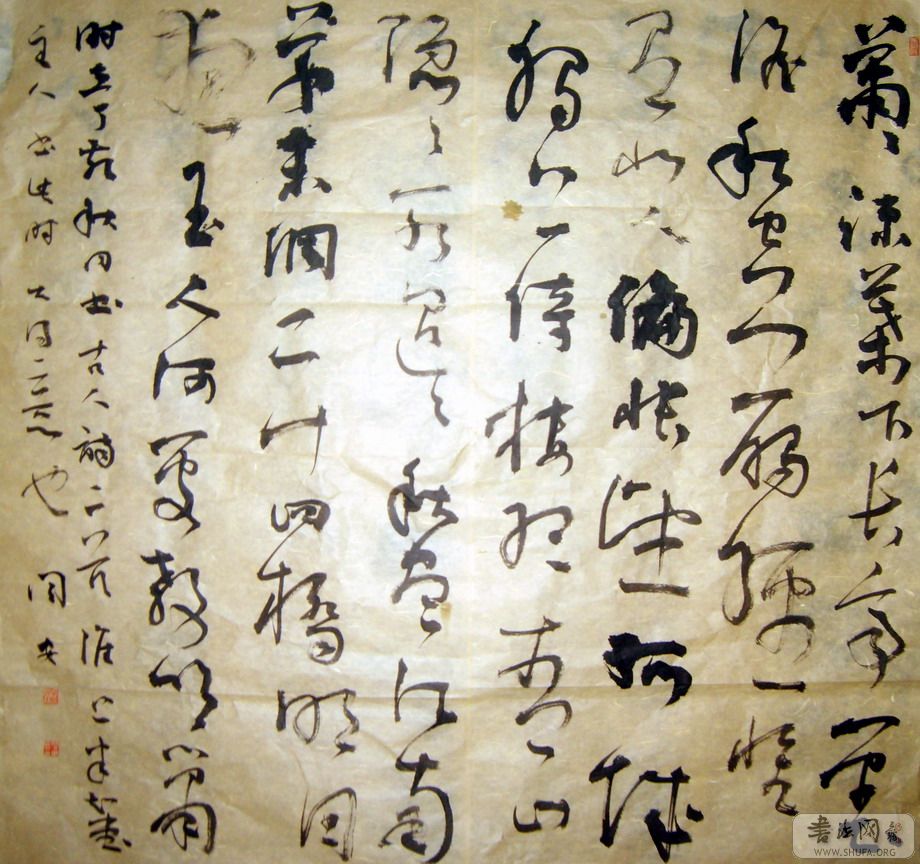 S8001869.JPG