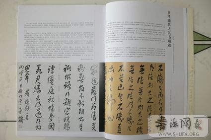 P1230035.JPG