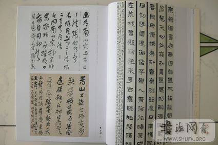 P1230037.JPG