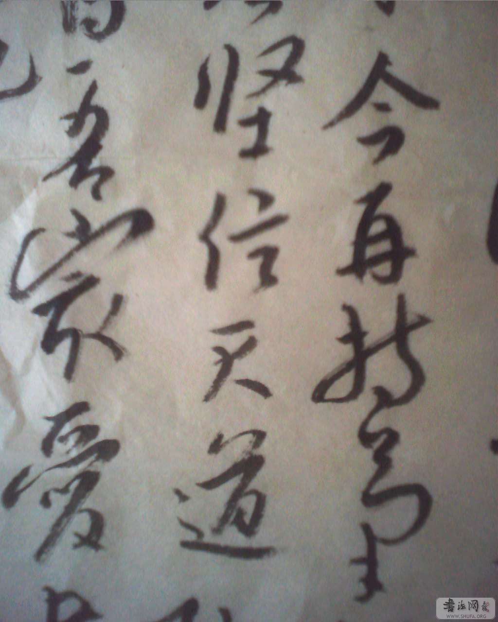 20070817095046.jpg