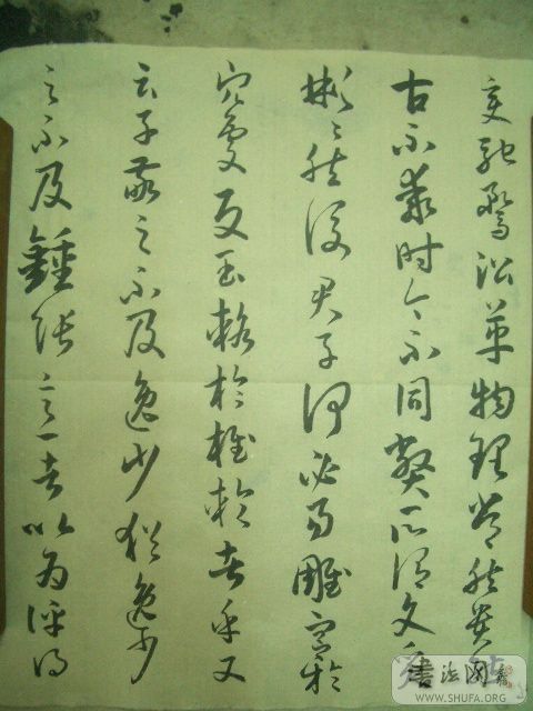 CIMG5116.JPG