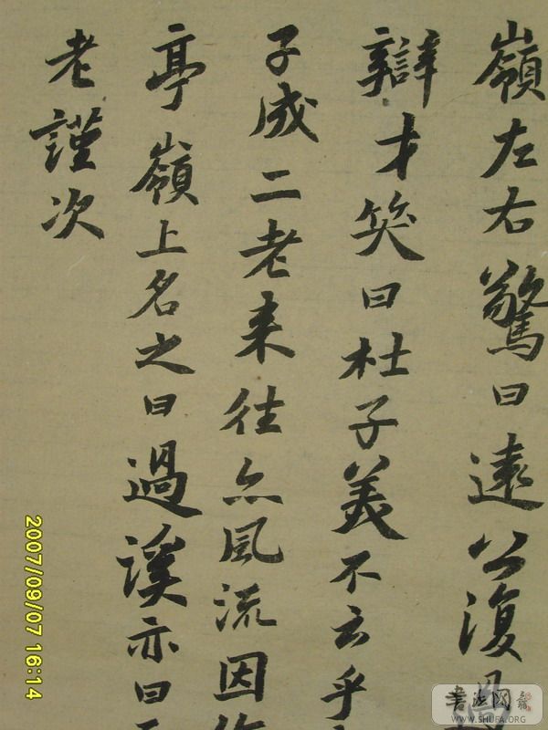 S6005306.JPG