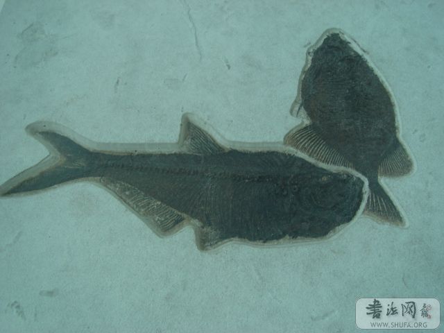 DSC04714.JPG
