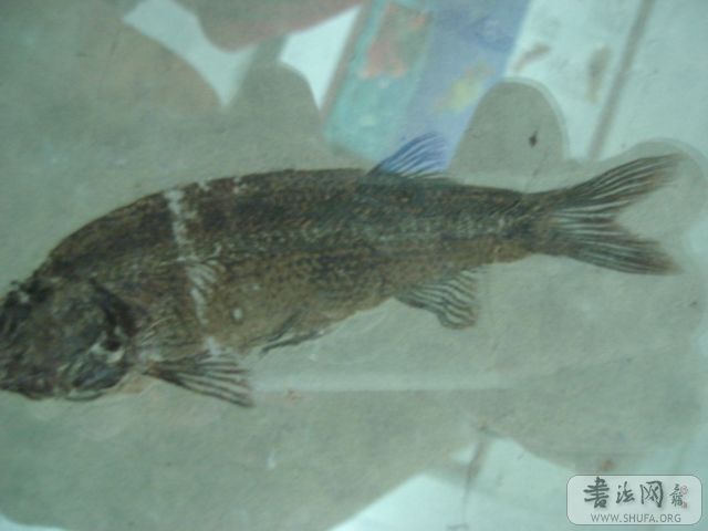 DSC04712.JPG