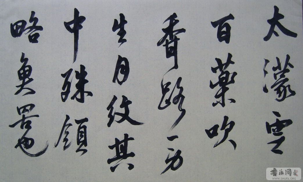 S8000033.jpg