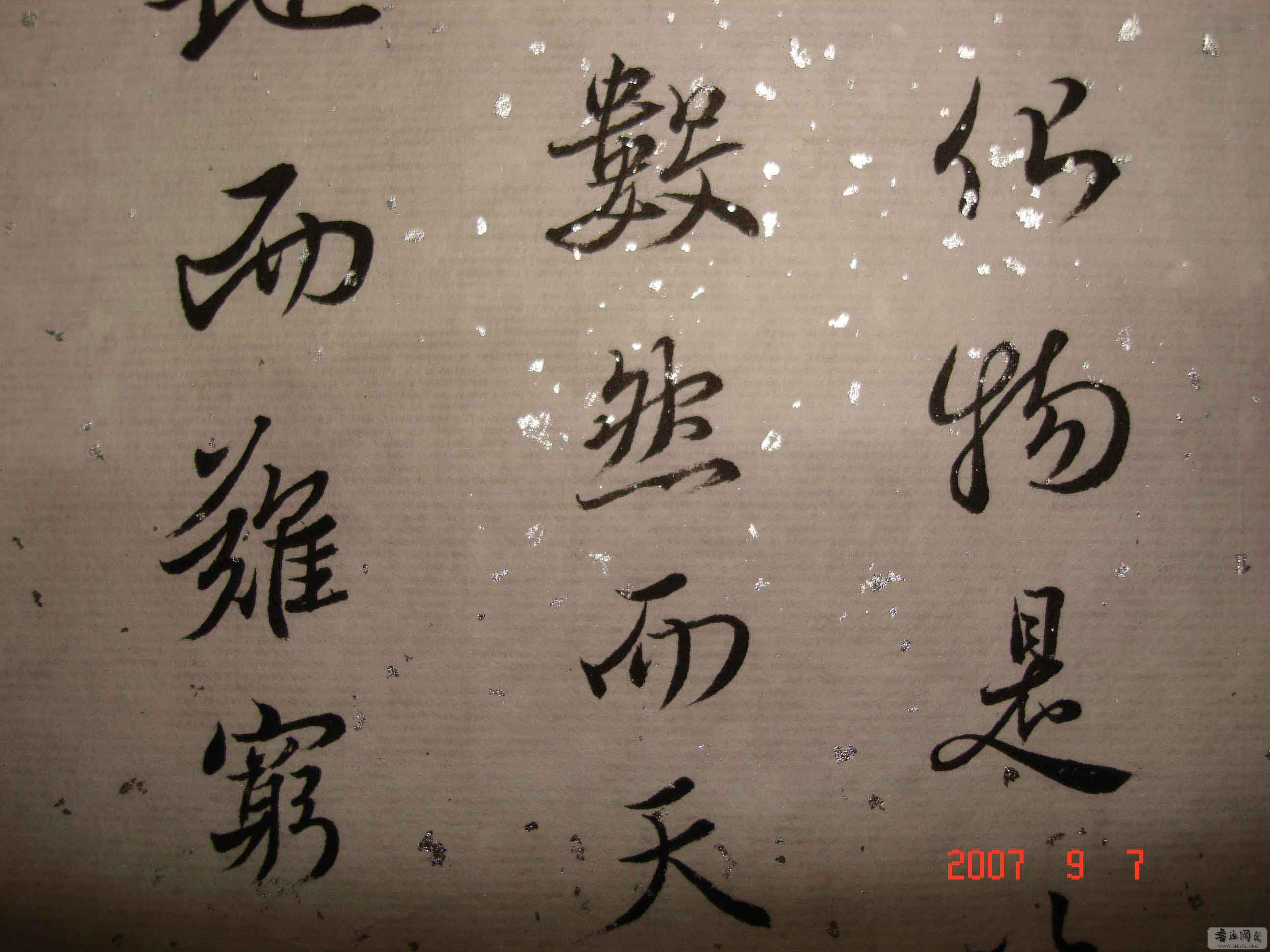 DSC00205.jpg