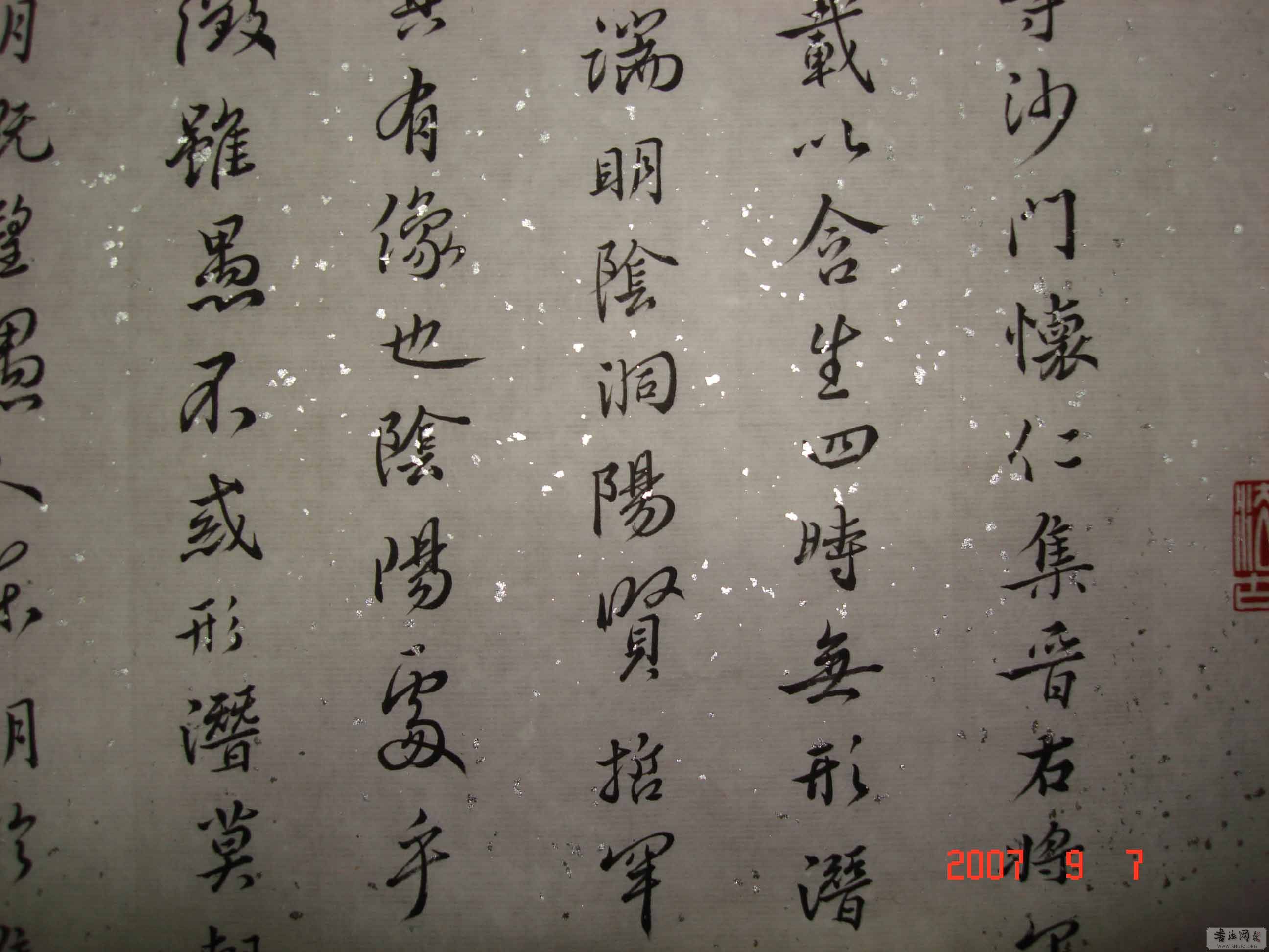 DSC00196.jpg