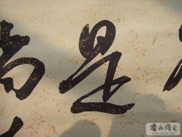 DCAM0040.JPG