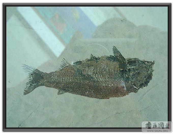 DSC04711_nEO_IMG.jpg